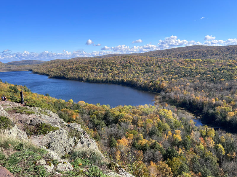From Lansing to Northern Michigan: A Road Into the Pines