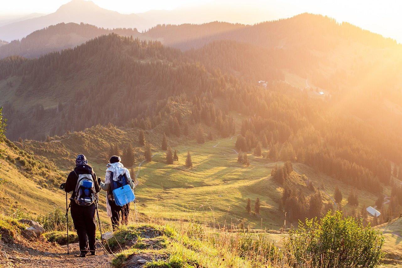 The Wonders of Walking: Unpacking the Benefits of Hiking The simple act of putting one foot in front of the other in the great outdoors can b